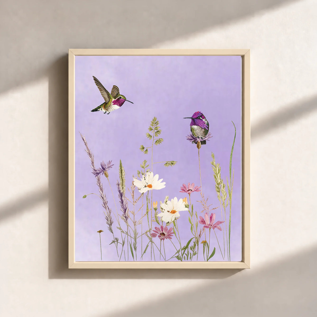 Hummingbirds And Wildflowers Canvas Print (Framed)