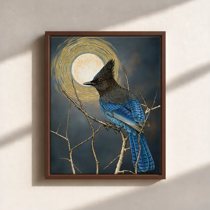 Steller's Jay Under Forest Moonlight Framed Canvas Print