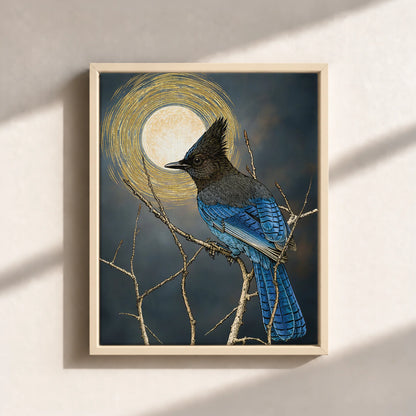 Steller's Jay Under Forest Moonlight Framed Canvas Print