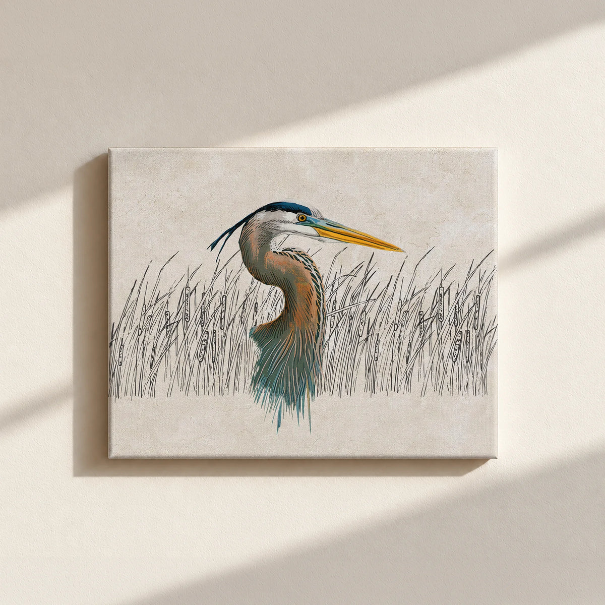 Great Blue Heron Canvas Print