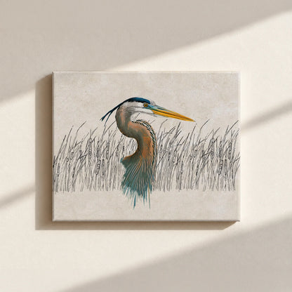 Great Blue Heron Canvas Print