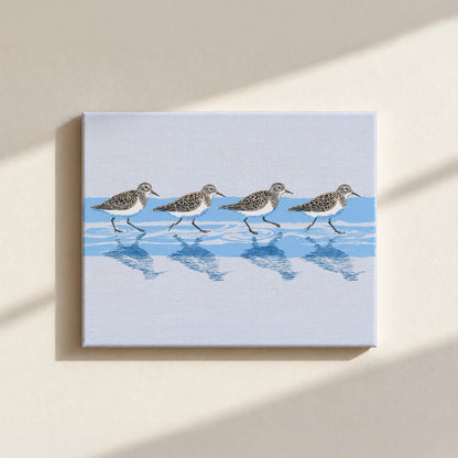 Tidewalking Sandpipers Canvas Print