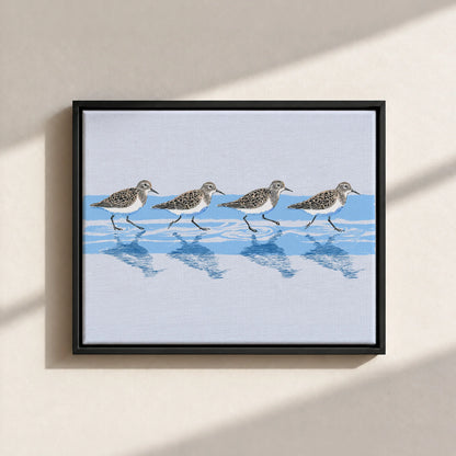 Tidewalking Sandpipers Framed Canvas Print