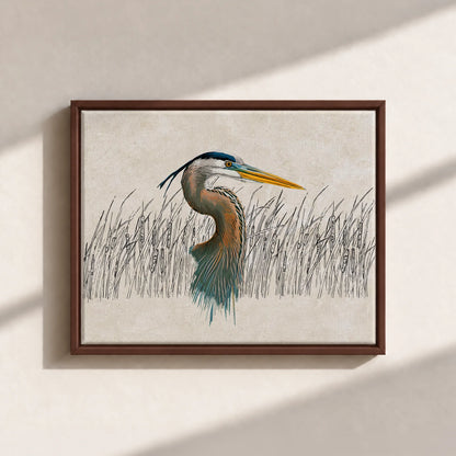 Great Blue Heron Canvas Print (Framed)