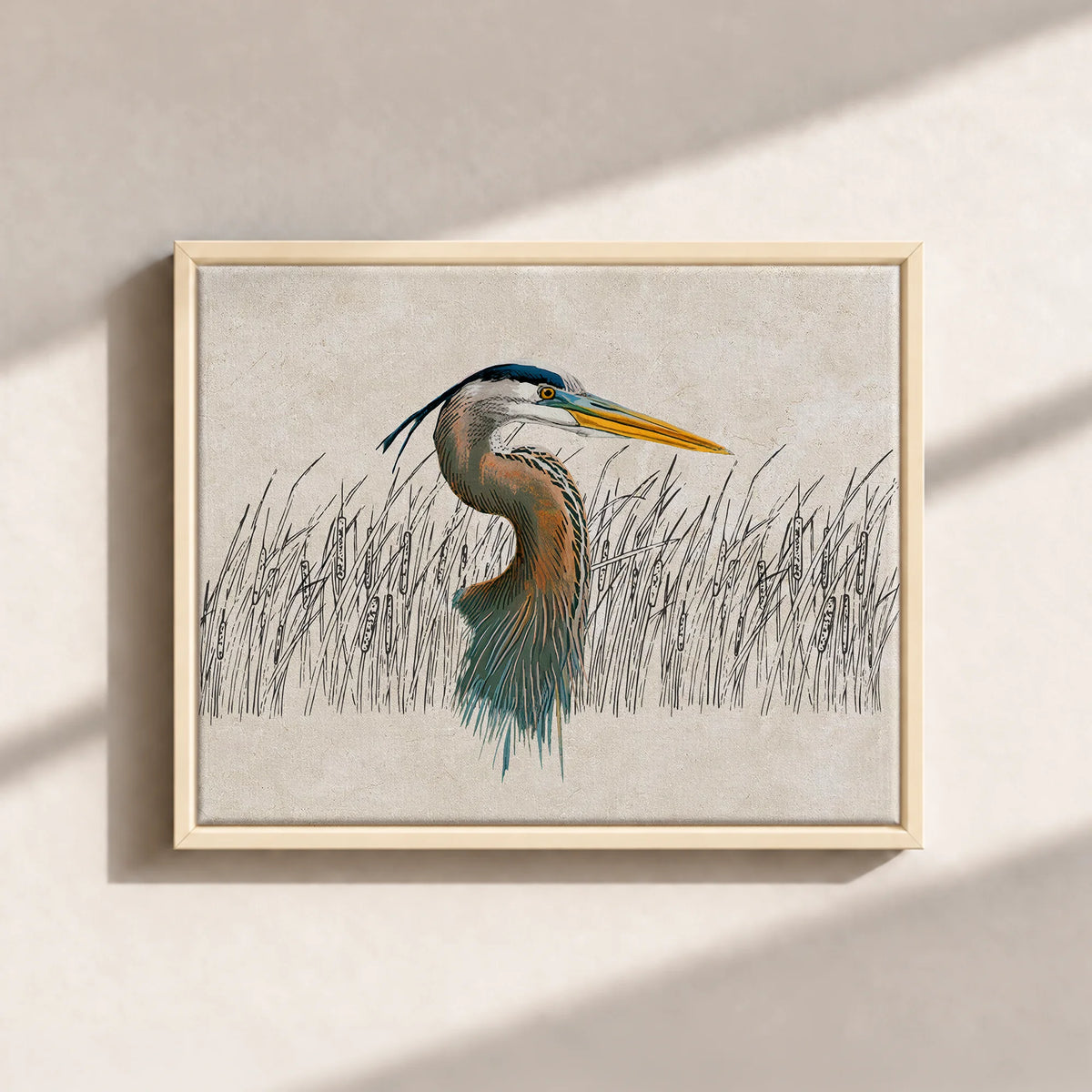 Great Blue Heron Canvas Print (Framed)