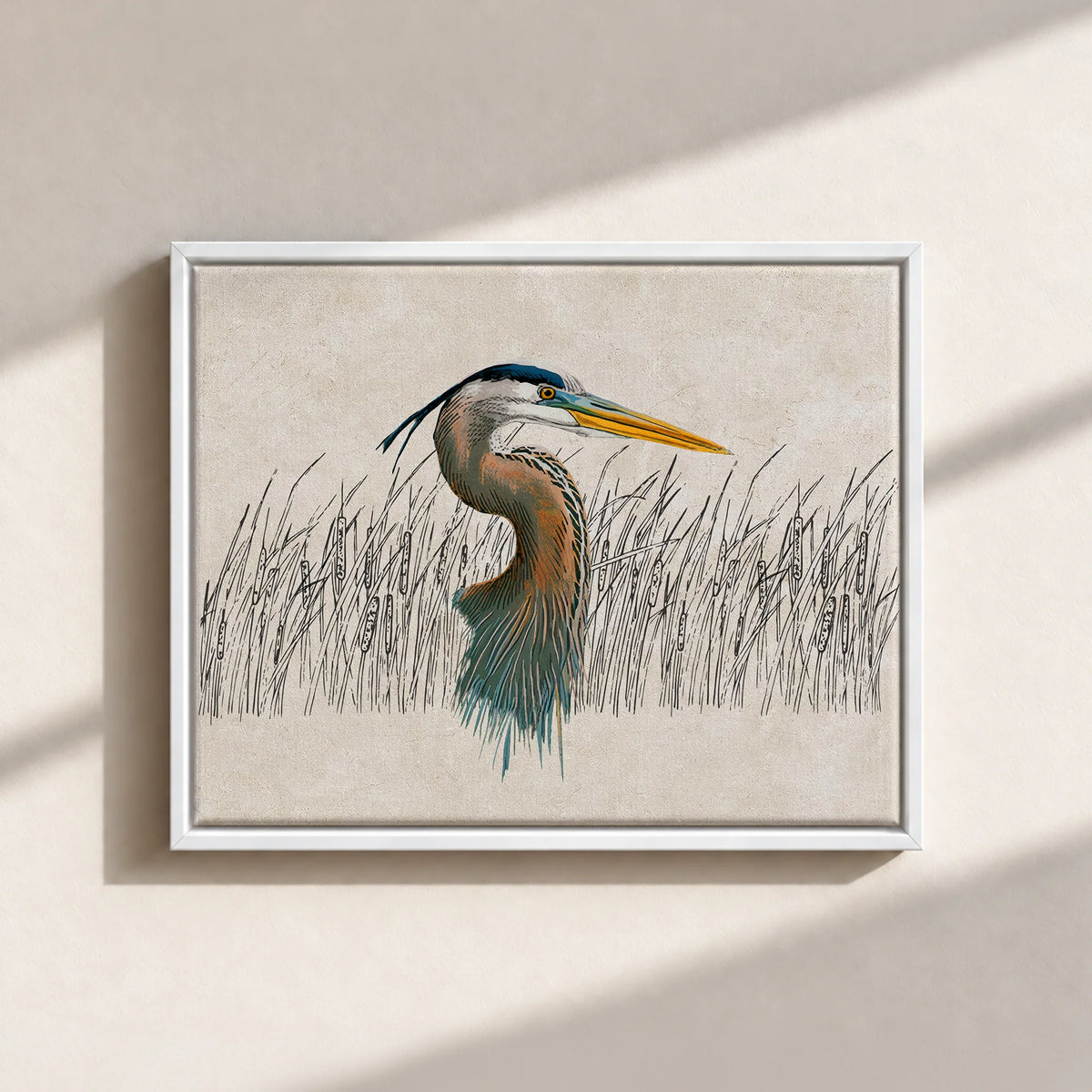 Great Blue Heron Canvas Print (Framed)