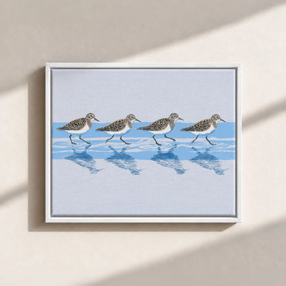Tidewalking Sandpipers Framed Canvas Print
