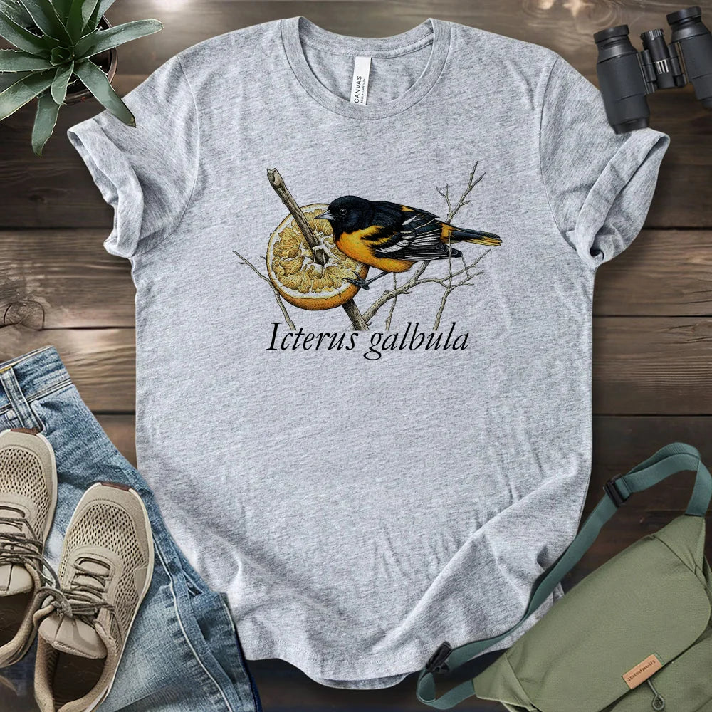 Baltimore Oriole With Orange T-shirt