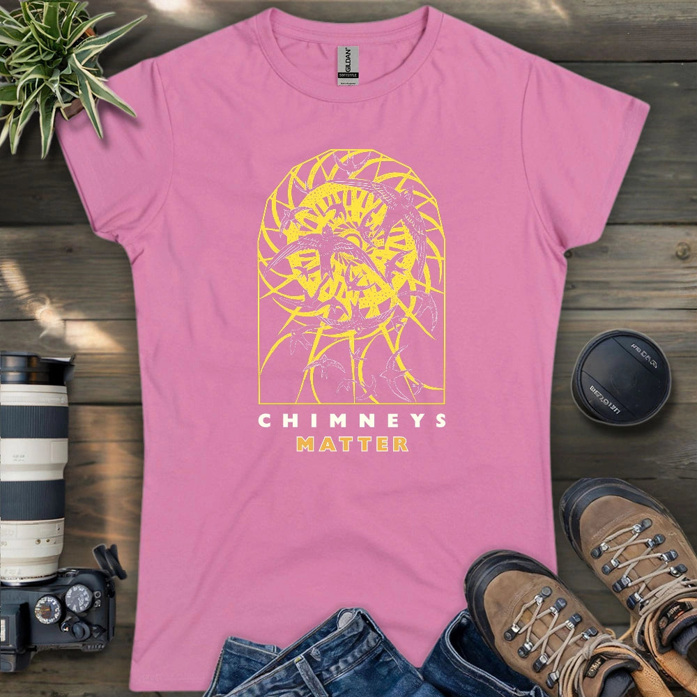 Chimney Swifts Matter Women's T-shirt