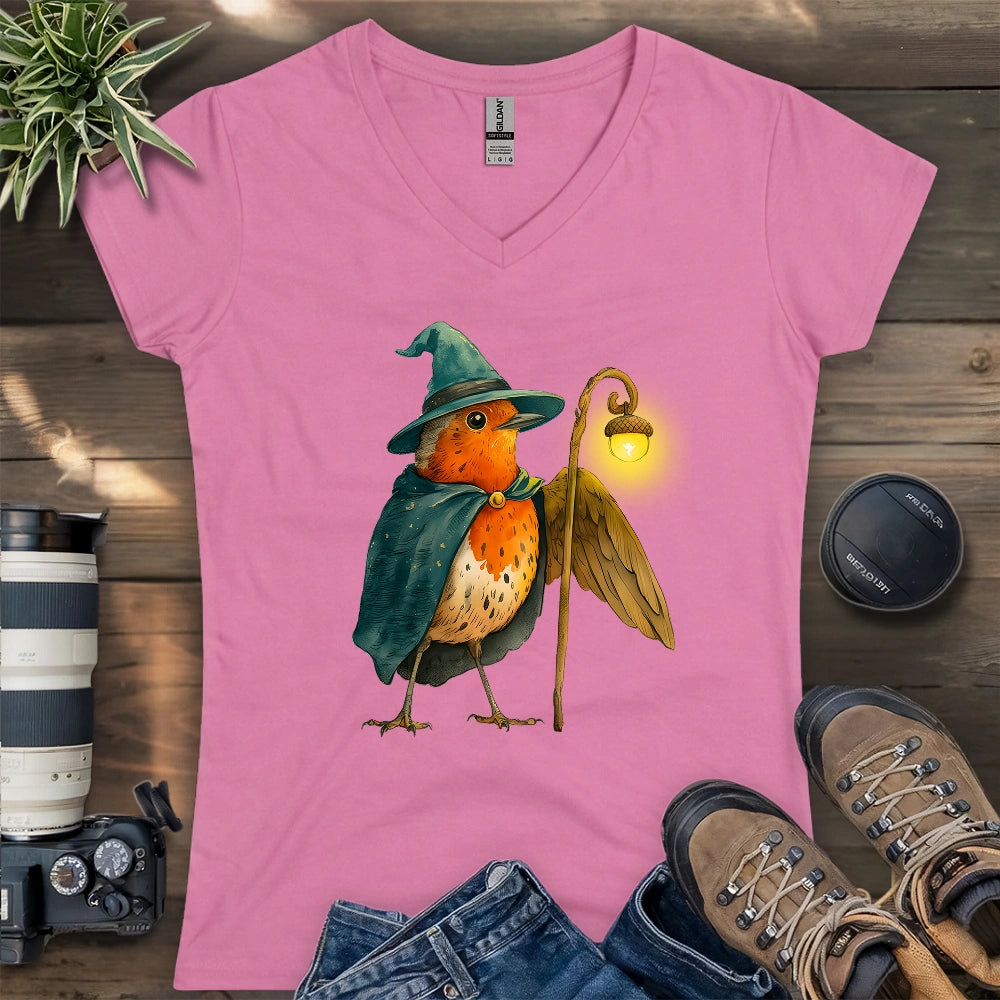 Robin the Wizard Lady V-neck