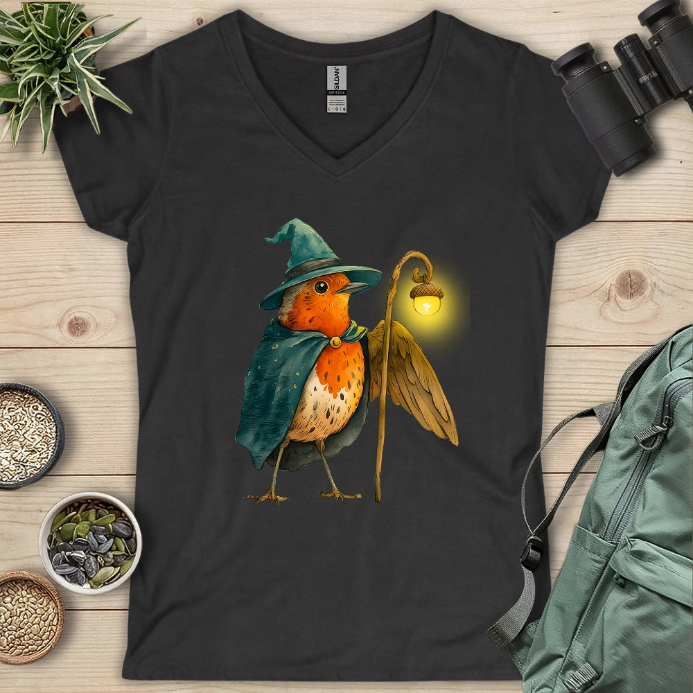 Robin the Wizard Lady V-neck