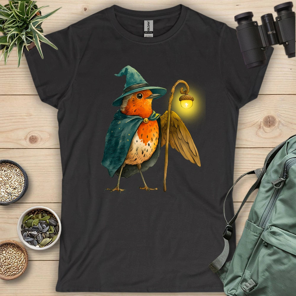 Robin the Wizard Women's T-shirt
