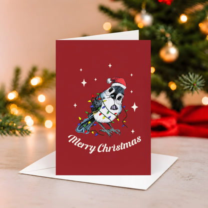 Christmas Bird Stare Greeting Card