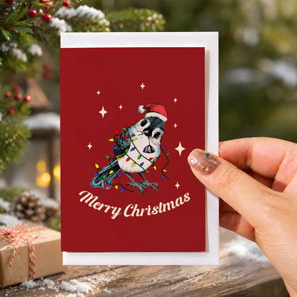 Christmas Bird Stare Greeting Card
