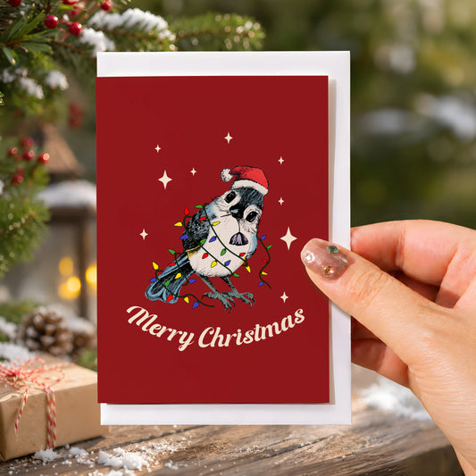 Christmas Bird Stare Greeting Card