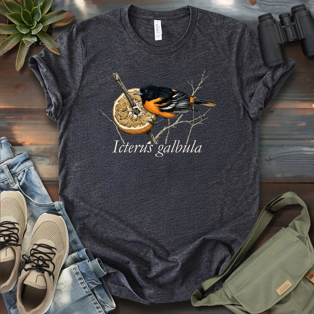 Baltimore Oriole With Orange T-shirt