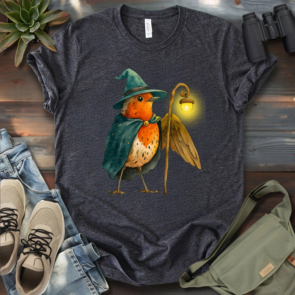 Robin the Wizard T-shirt