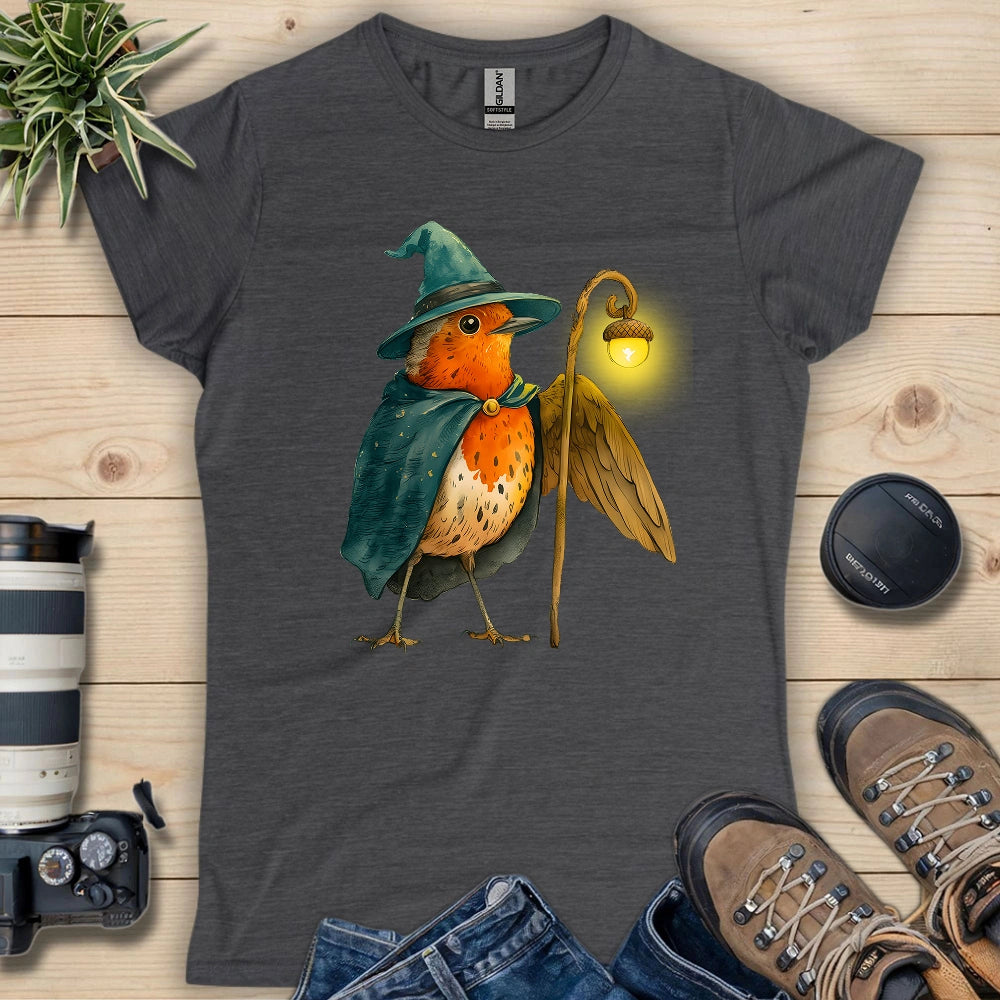 Robin the Wizard Women's T-shirt