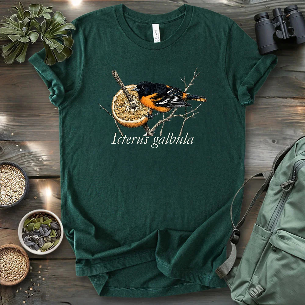 Baltimore Oriole With Orange T-shirt