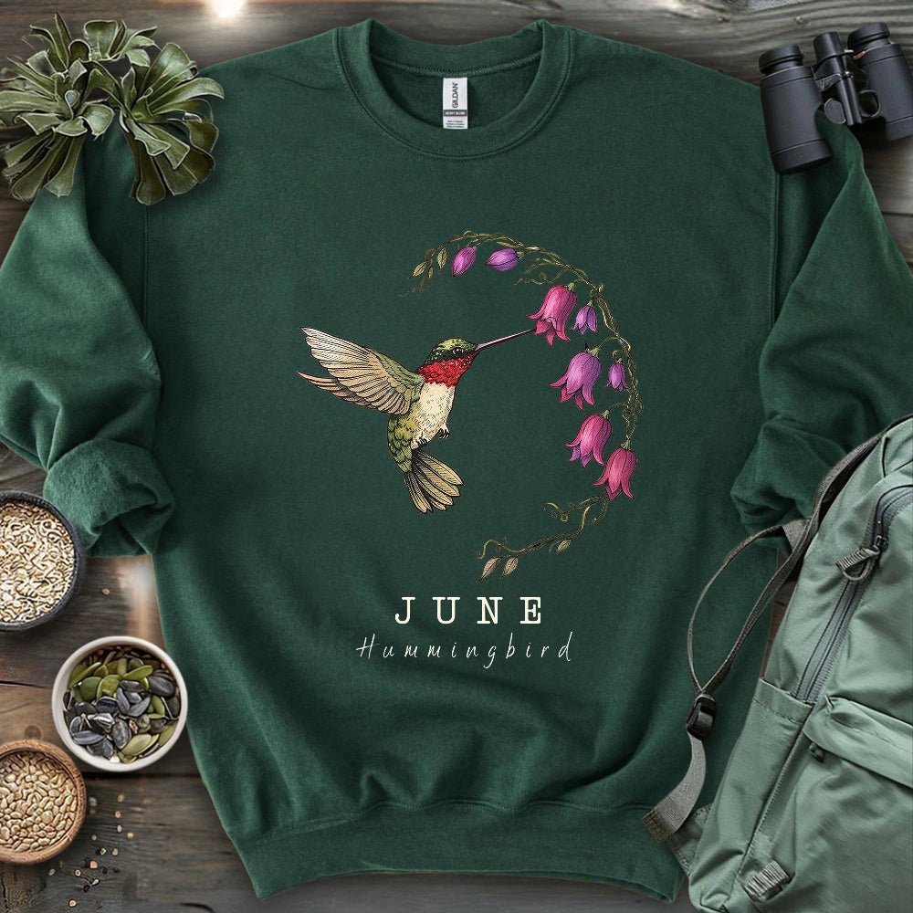 June Hummingbird Sweatshirt