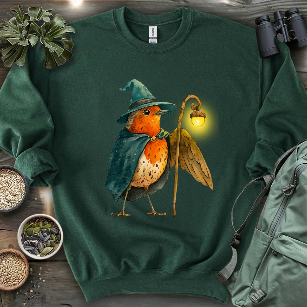 Robin the Wizard Sweatshirt