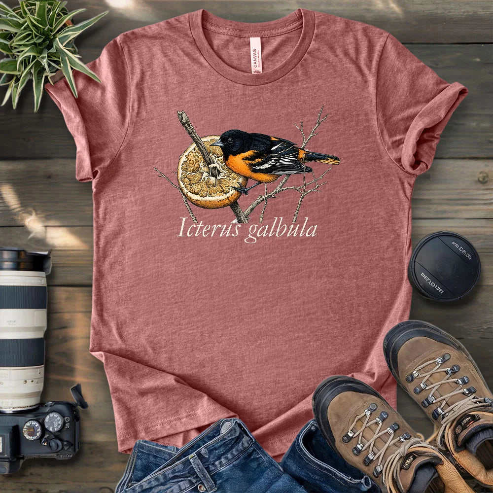 Baltimore Oriole With Orange T-shirt