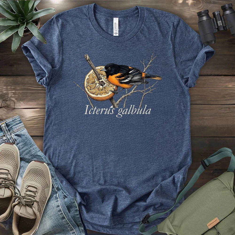 Baltimore Oriole With Orange T-shirt