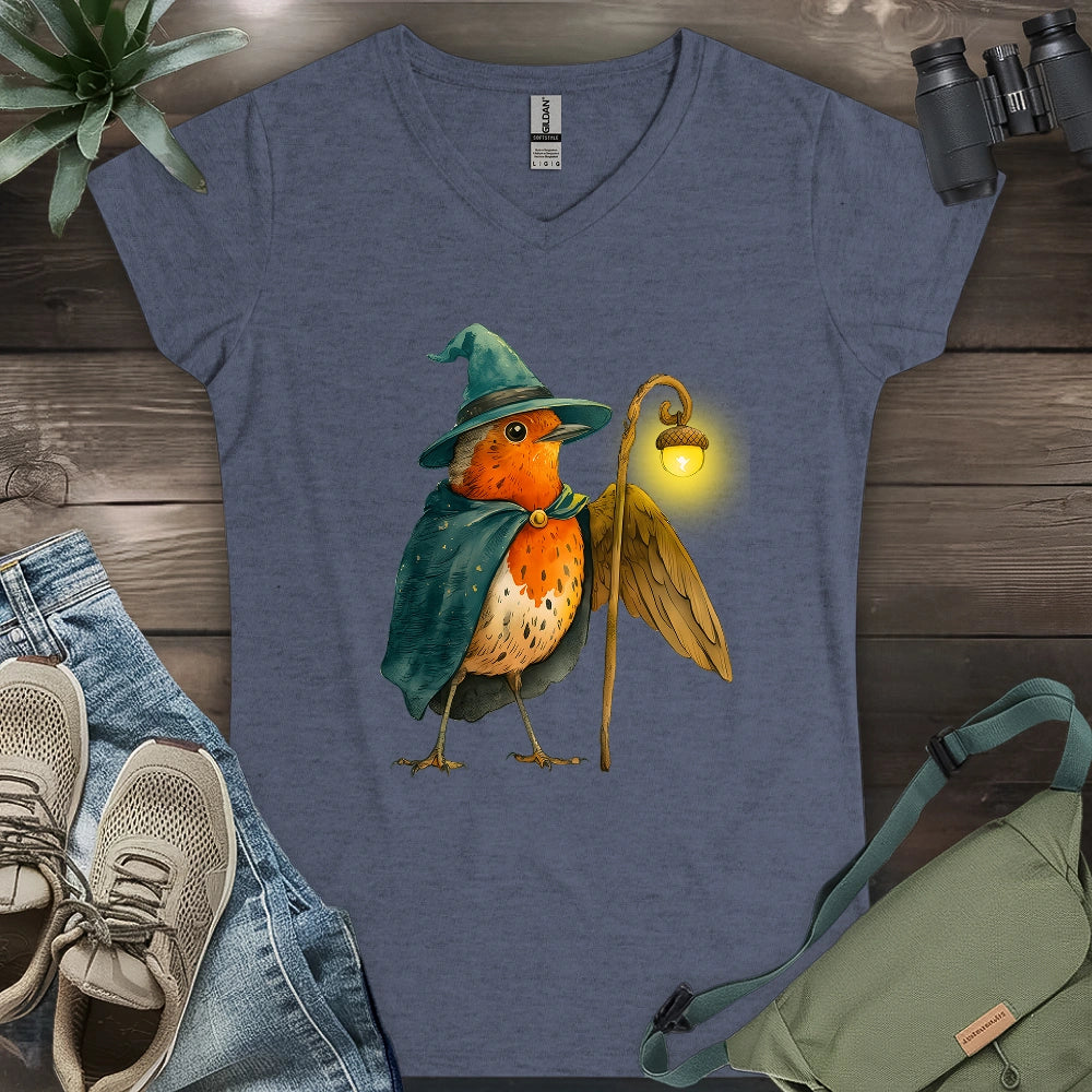 Robin the Wizard Lady V-neck