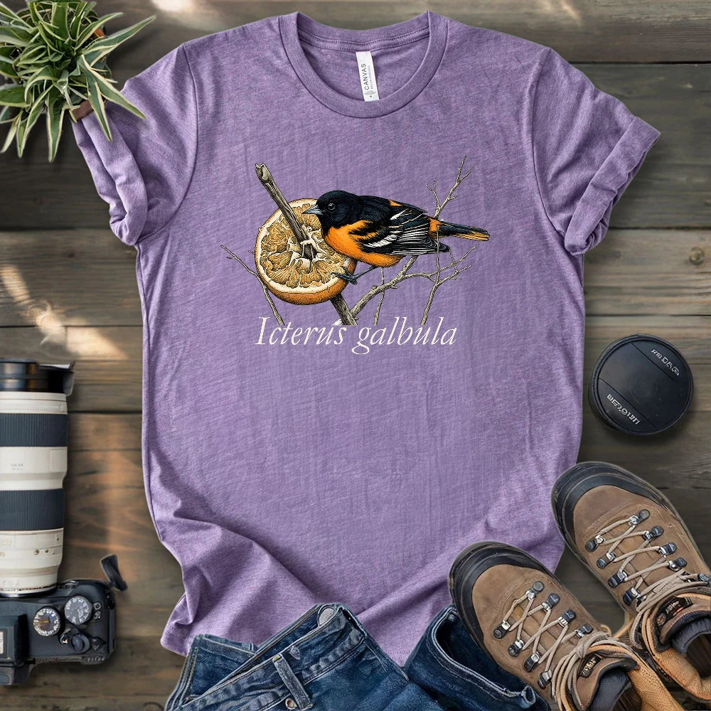 Baltimore Oriole With Orange T-shirt