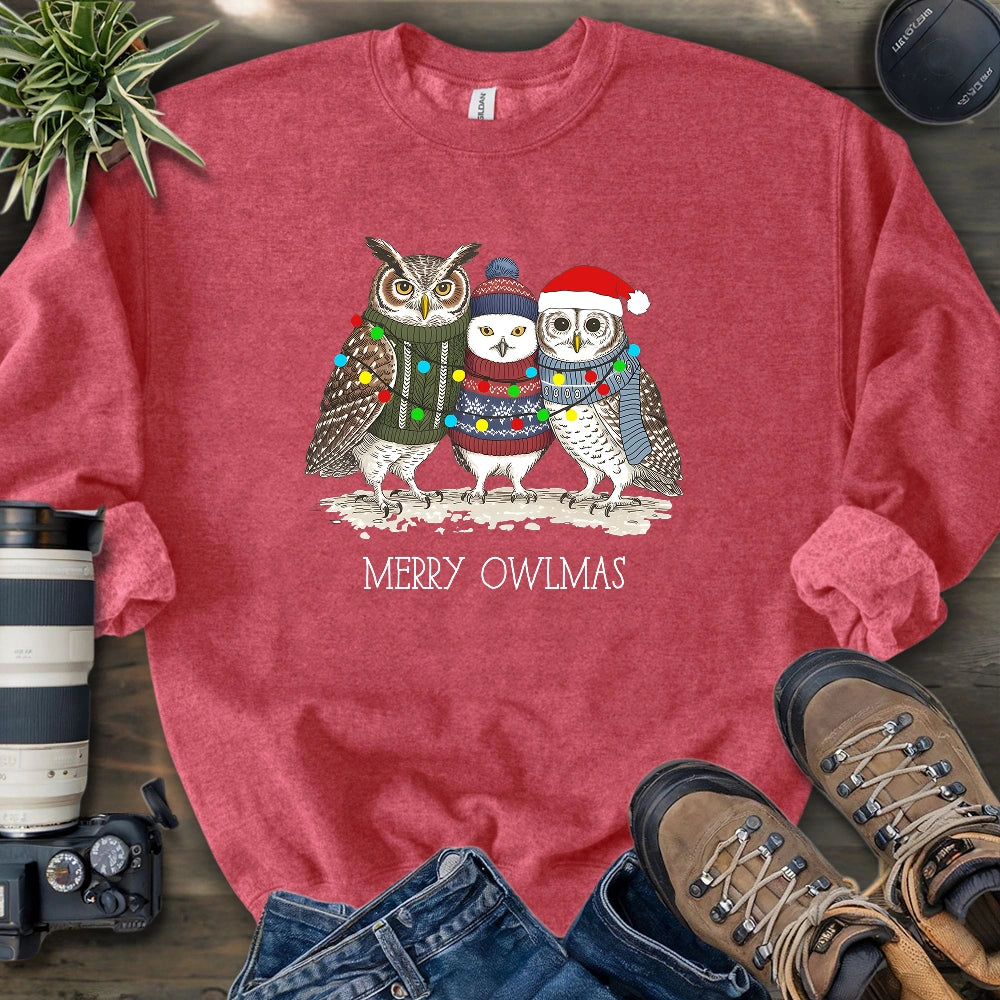 Cozy Owlmas Trio Sweatshirt