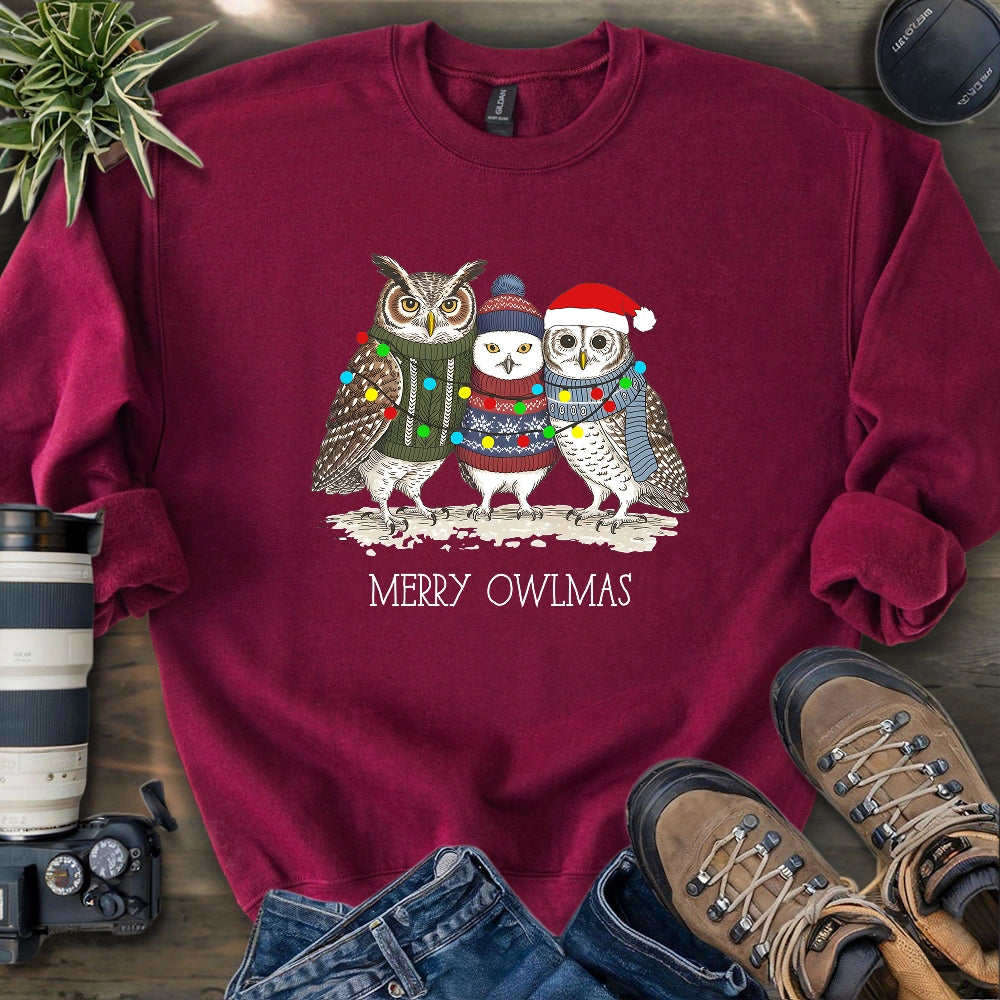 Cozy Owlmas Trio Sweatshirt