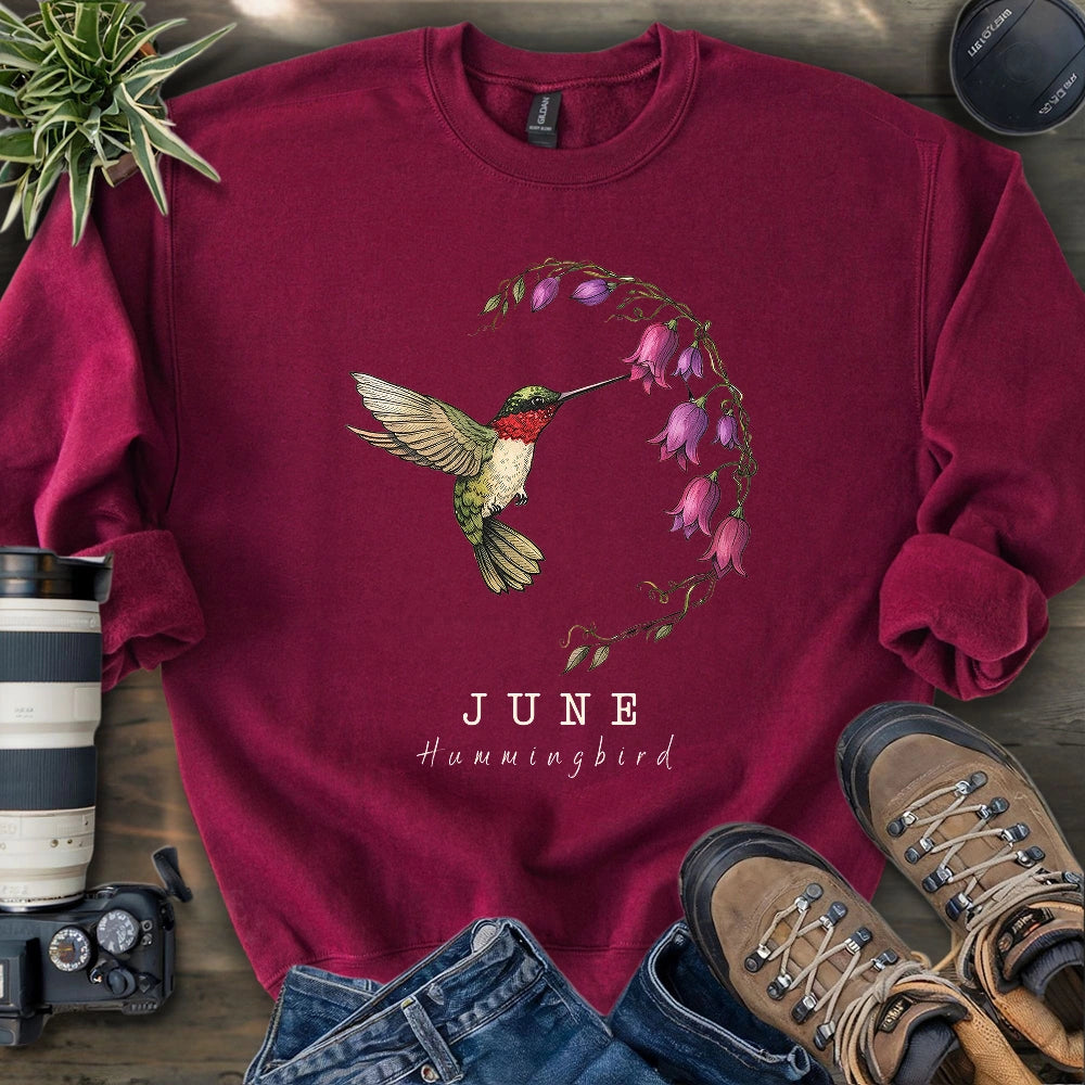 June Hummingbird Sweatshirt