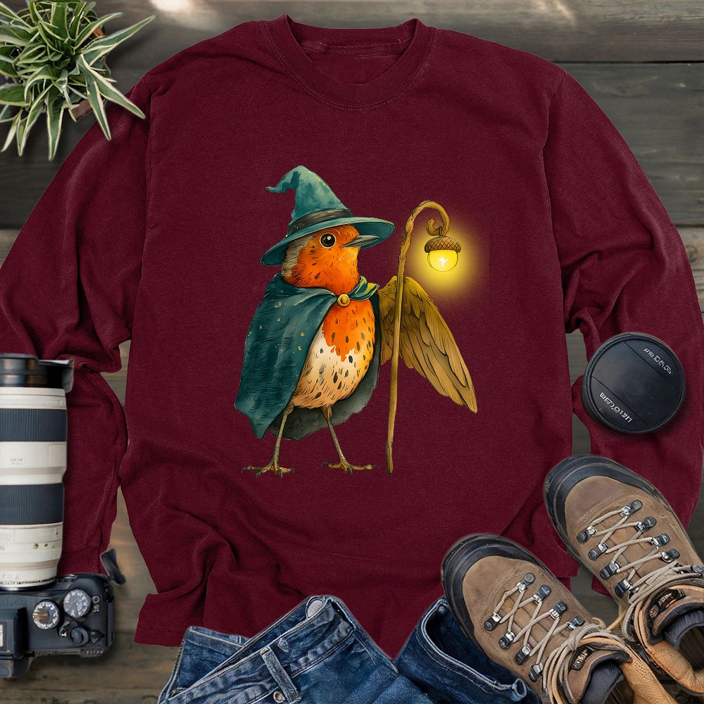 Robin the Wizard Long Sleeve T-shirt