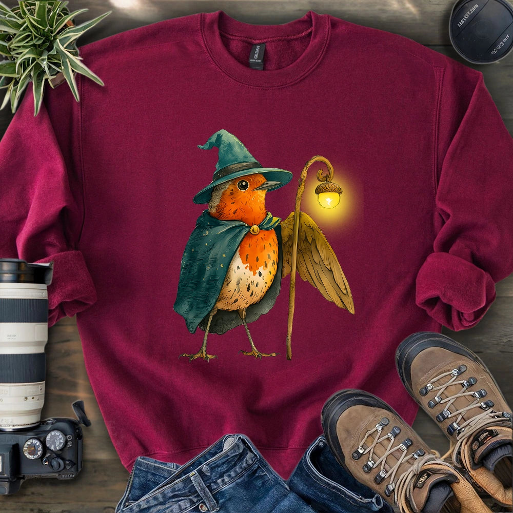 Robin the Wizard Sweatshirt