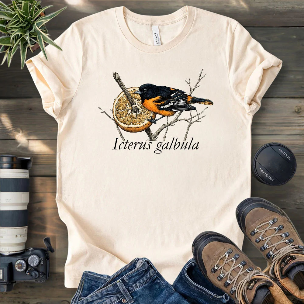 Baltimore Oriole With Orange T-shirt