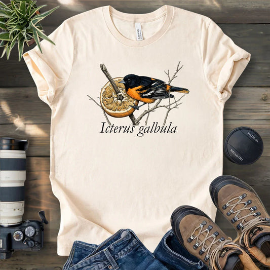 Baltimore Oriole With Orange T-shirt