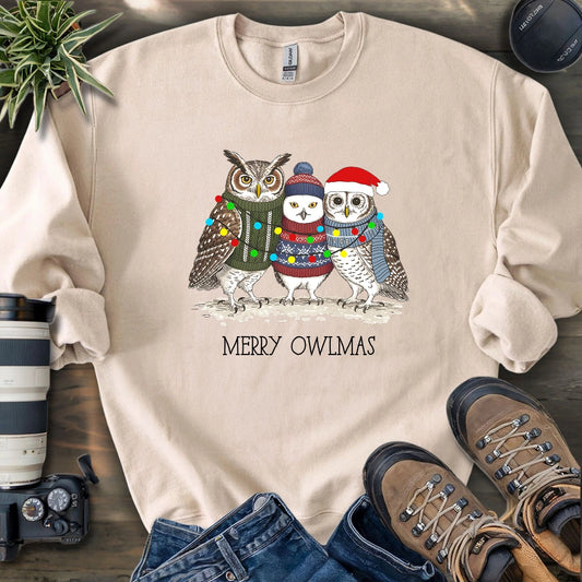 Cozy Owlmas Trio Sweatshirt