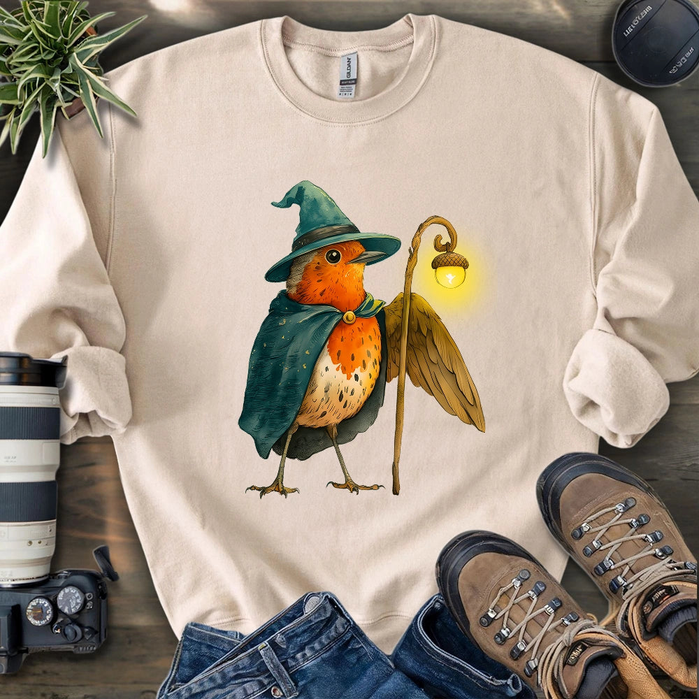 Robin the Wizard Sweatshirt