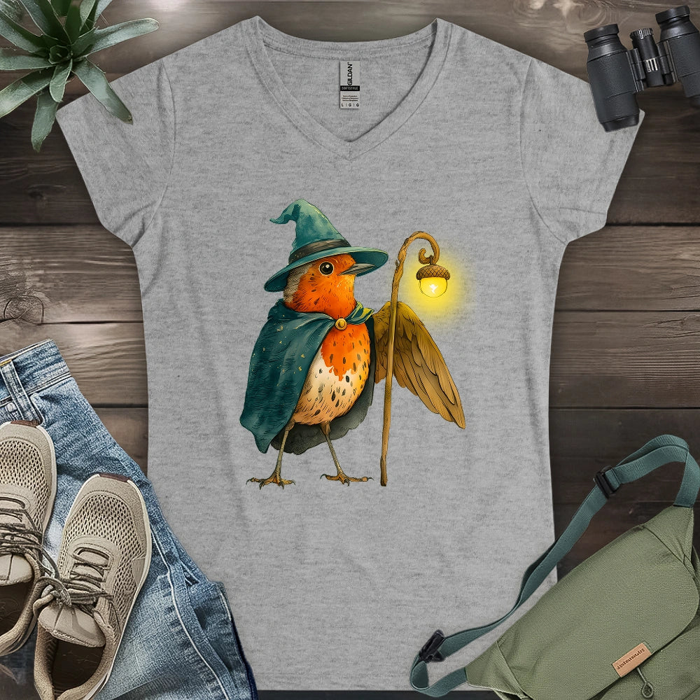 Robin the Wizard Lady V-neck