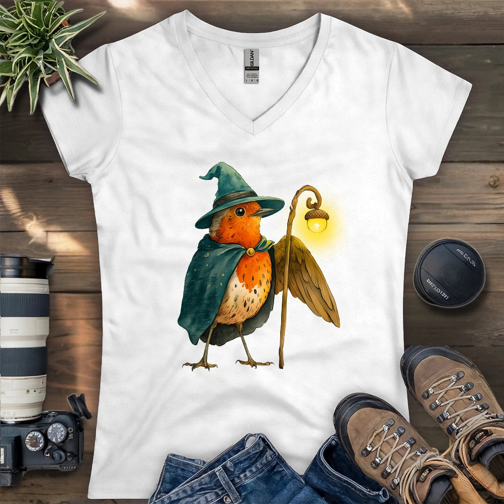 Robin the Wizard Lady V-neck