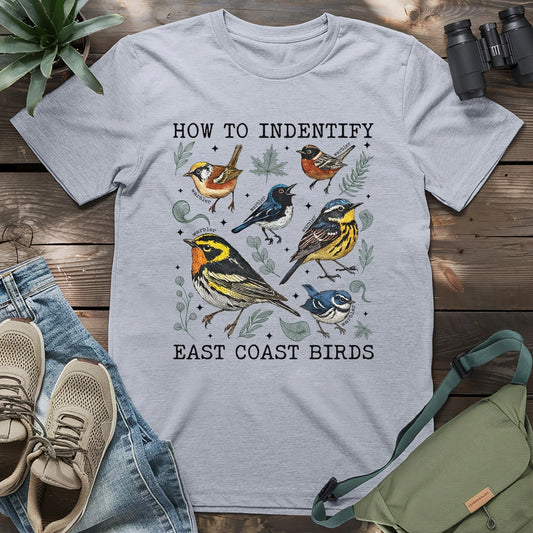 Beautiful East coast warbler birds.