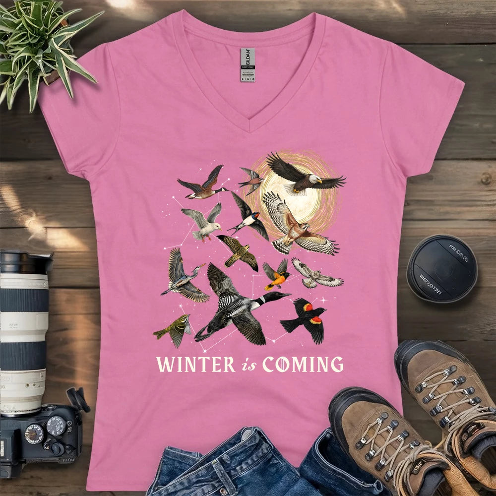Winter Is Coming Lady V-neck