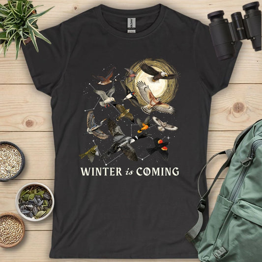 Winter Is Coming Women's T-shirt