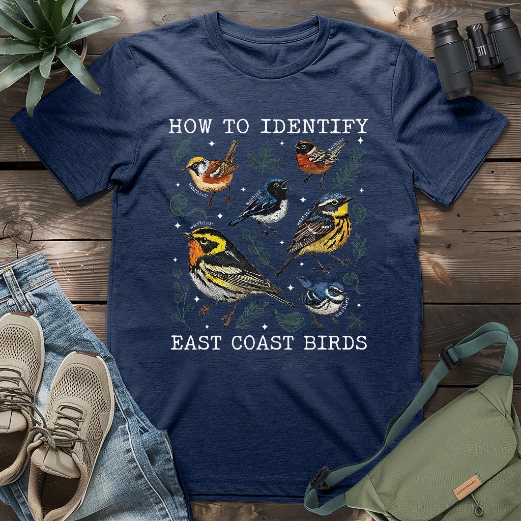 Beautiful East coast warbler birds.